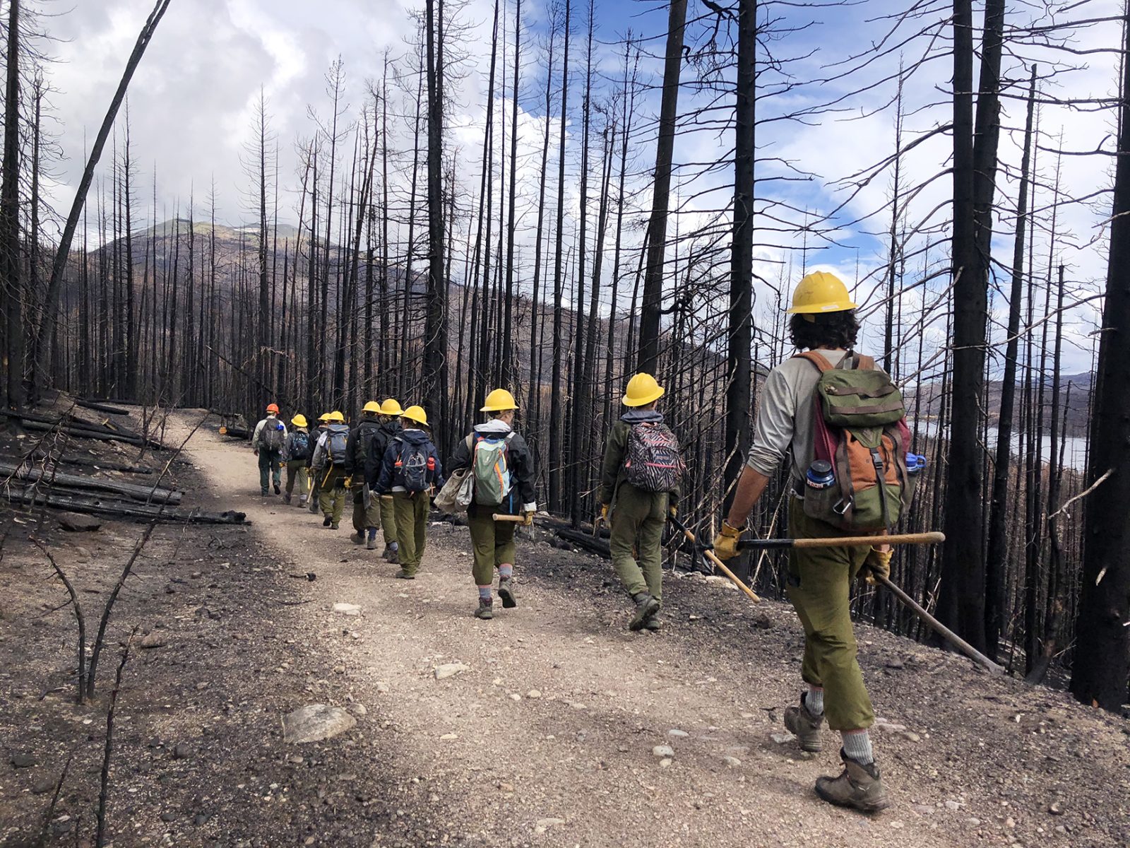 A group of hikers walking through a burned area.