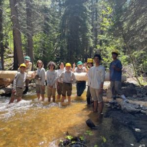 A group of people standing in a stream in the woods.