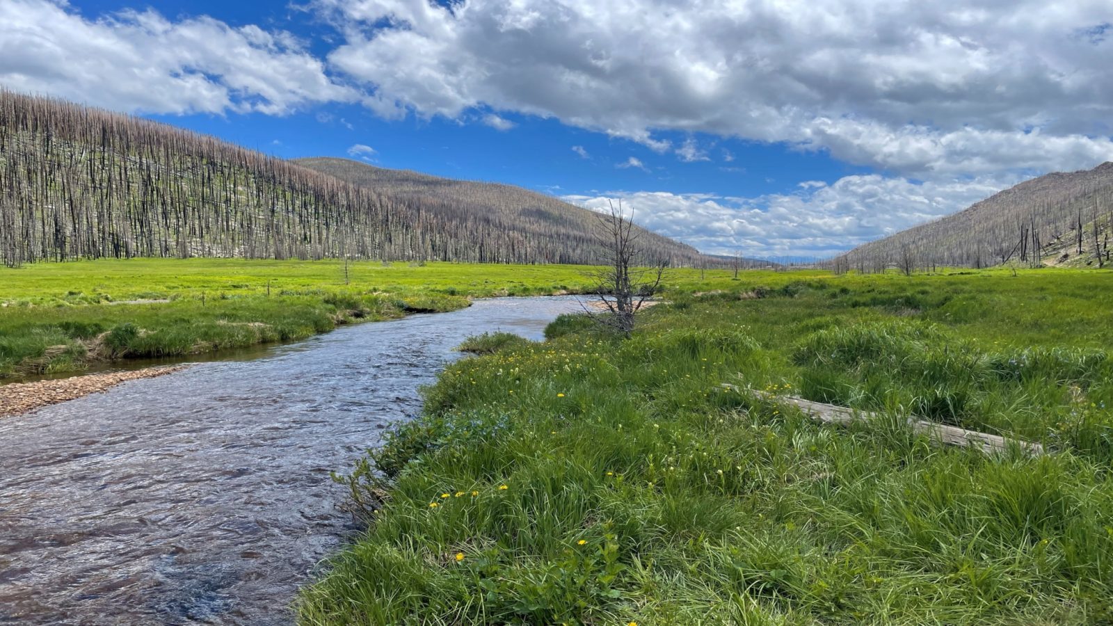 A serene river flows through a grassy valley, flanked by hills with sparse trees under a partly cloudy sky.