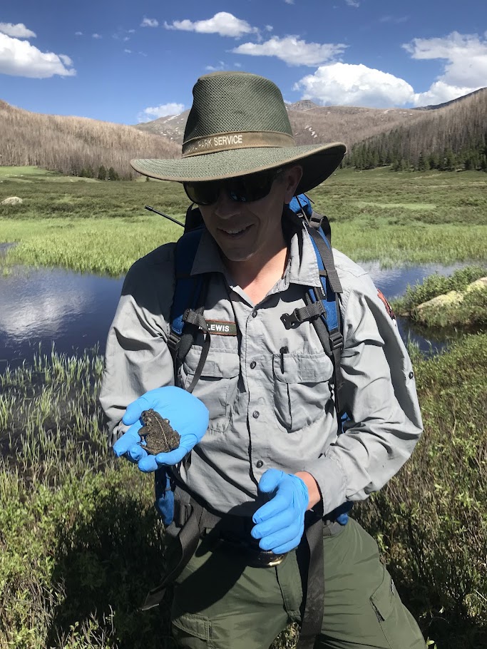 Field Institute participants explore alpine ecology together.