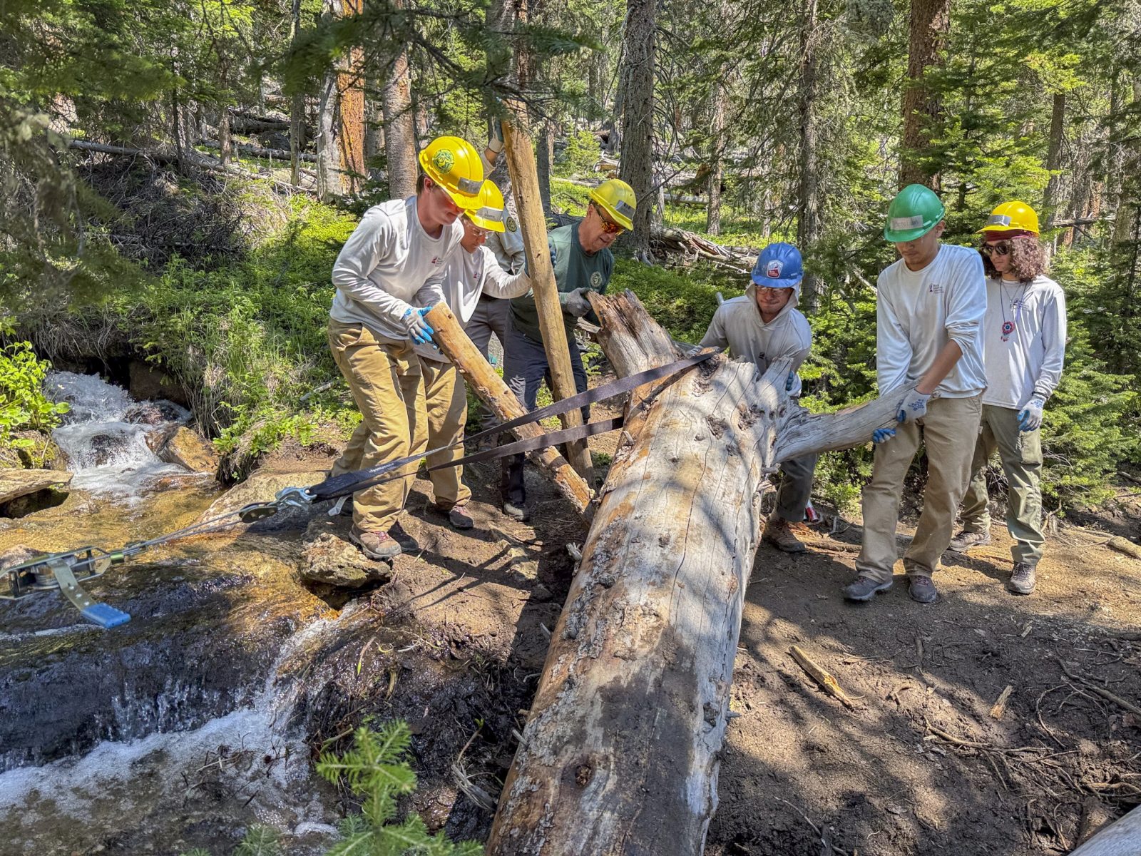 A group of people in hard hats holding a large log.
