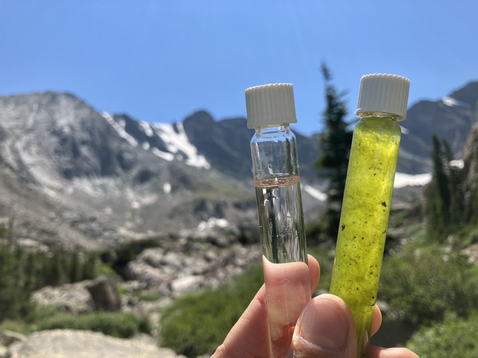 A hand holds two small vials, one with clear liquid and one with greenish liquid, against a backdrop of mountains and blue sky.