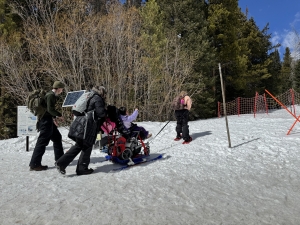 A group of people push and pull a person in a wheelchair fitted with skis on a snowy path surrounded by trees and safety fencing.