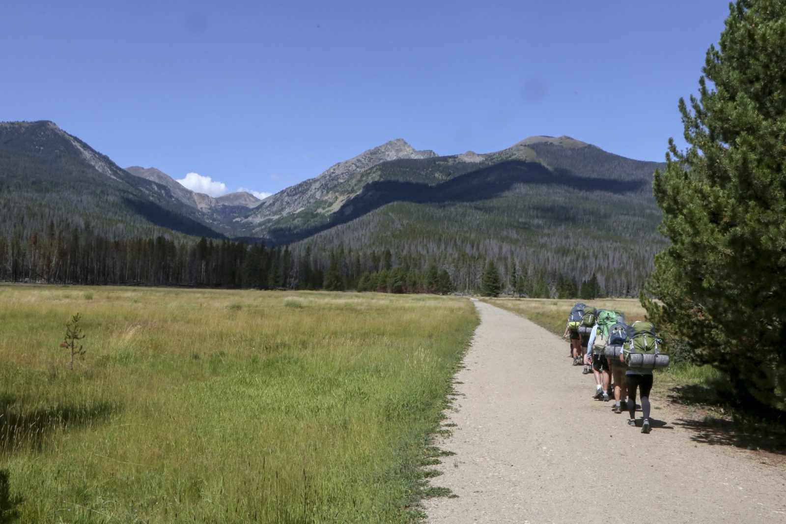 A group of hikers with backpacks walks along a dirt trail through a grassy meadow toward distant mountains under a clear blue sky.