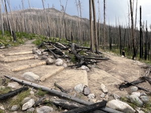 Charred logs and rocks rest on a dirt area with wooden steps, surrounded by a forest of burned, dead trees and a mountain in the background.