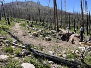 Two people stand on a dirt trail in a forested area with many charred tree trunks and scattered logs, under a clear blue sky.
