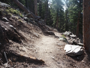 A dirt hiking trail winds uphill through a forested area with rocks and trees on either side. Sunlight filters through the branches.