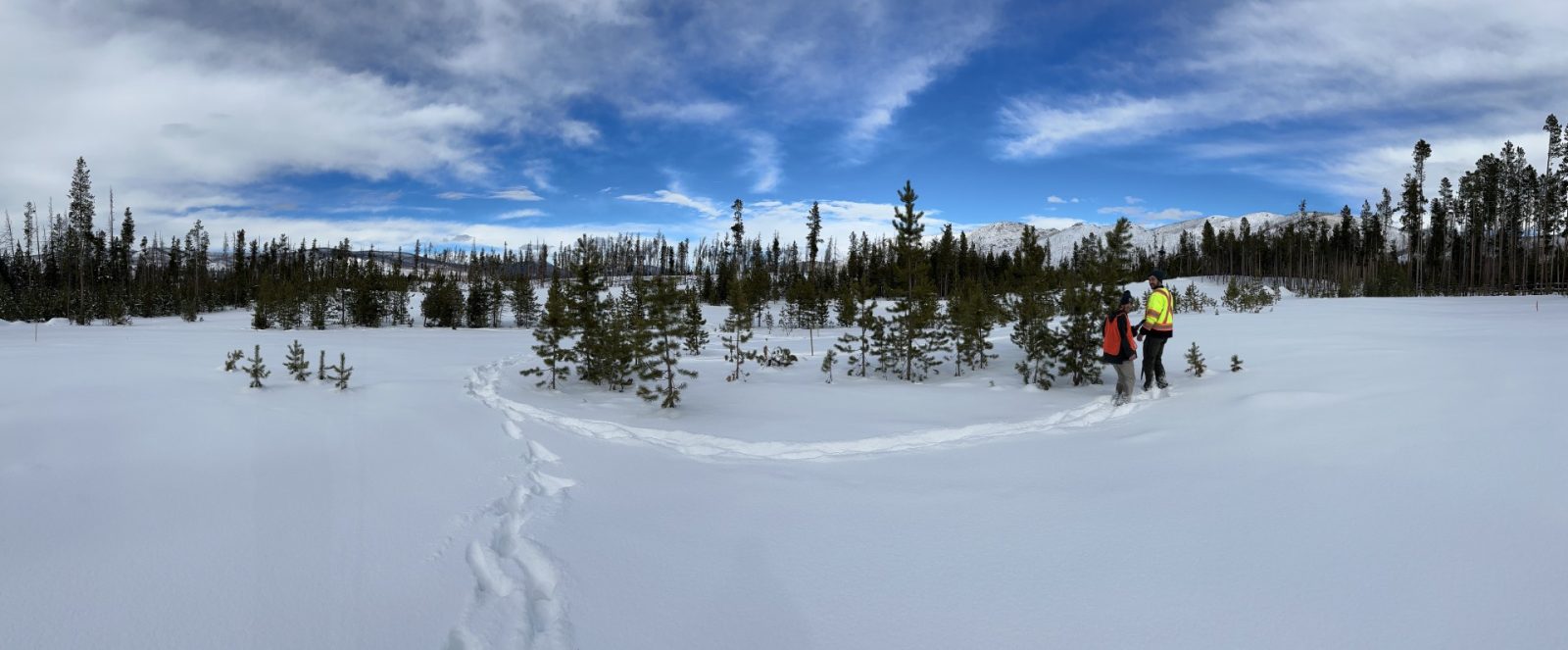 Two people in winter gear walk through deep snow, surrounded by small pine trees under a blue sky with clouds, with mountains in the distance.