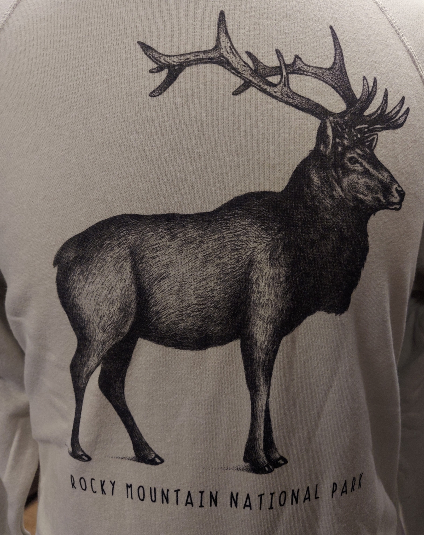 Sweatshirt - Elk Sketch Crewneck - Image 2