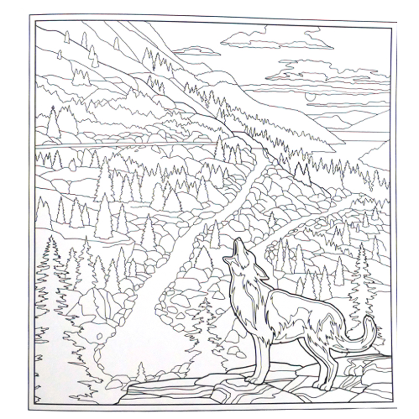 RMNP Adult Coloring Book & Postcards - Image 3