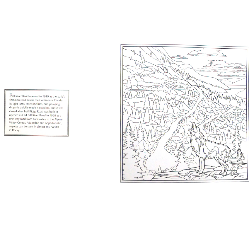 RMNP Adult Coloring Book & Postcards - Image 4