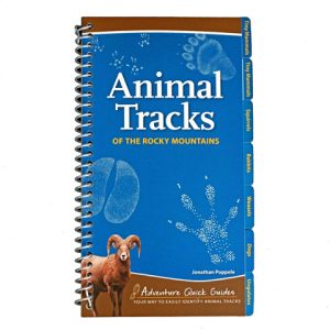 Animal Tracks of the Rocky Mountains
