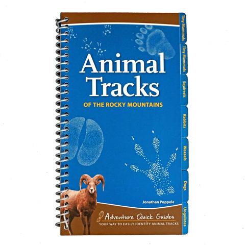Animal Tracks of the Rocky Mountains