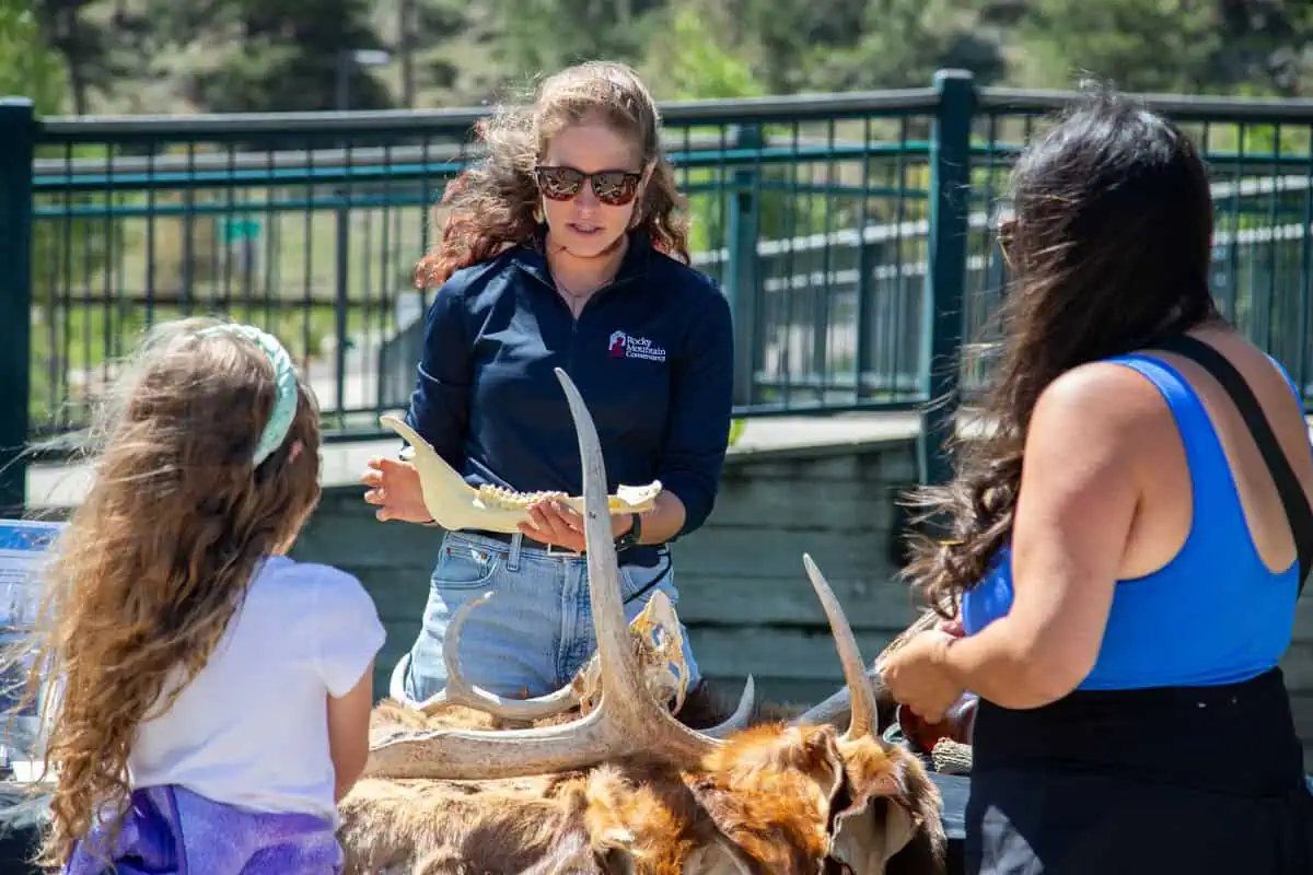 Environmental Education Fellowships