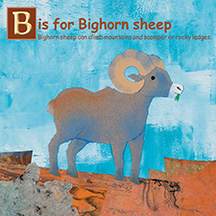 ABC Rocky! A Rocky Alphabet Book - Image 3
