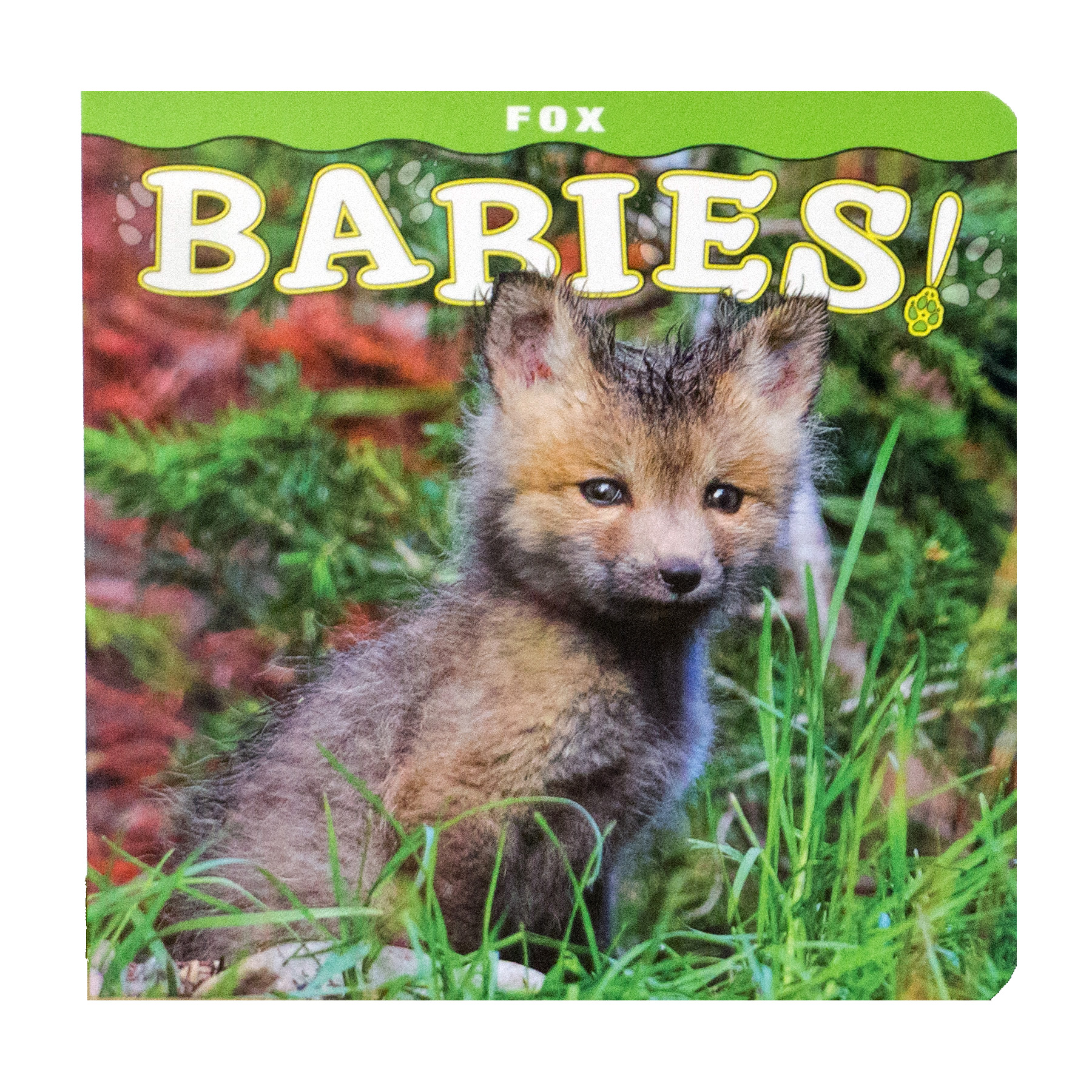 Fox Babies