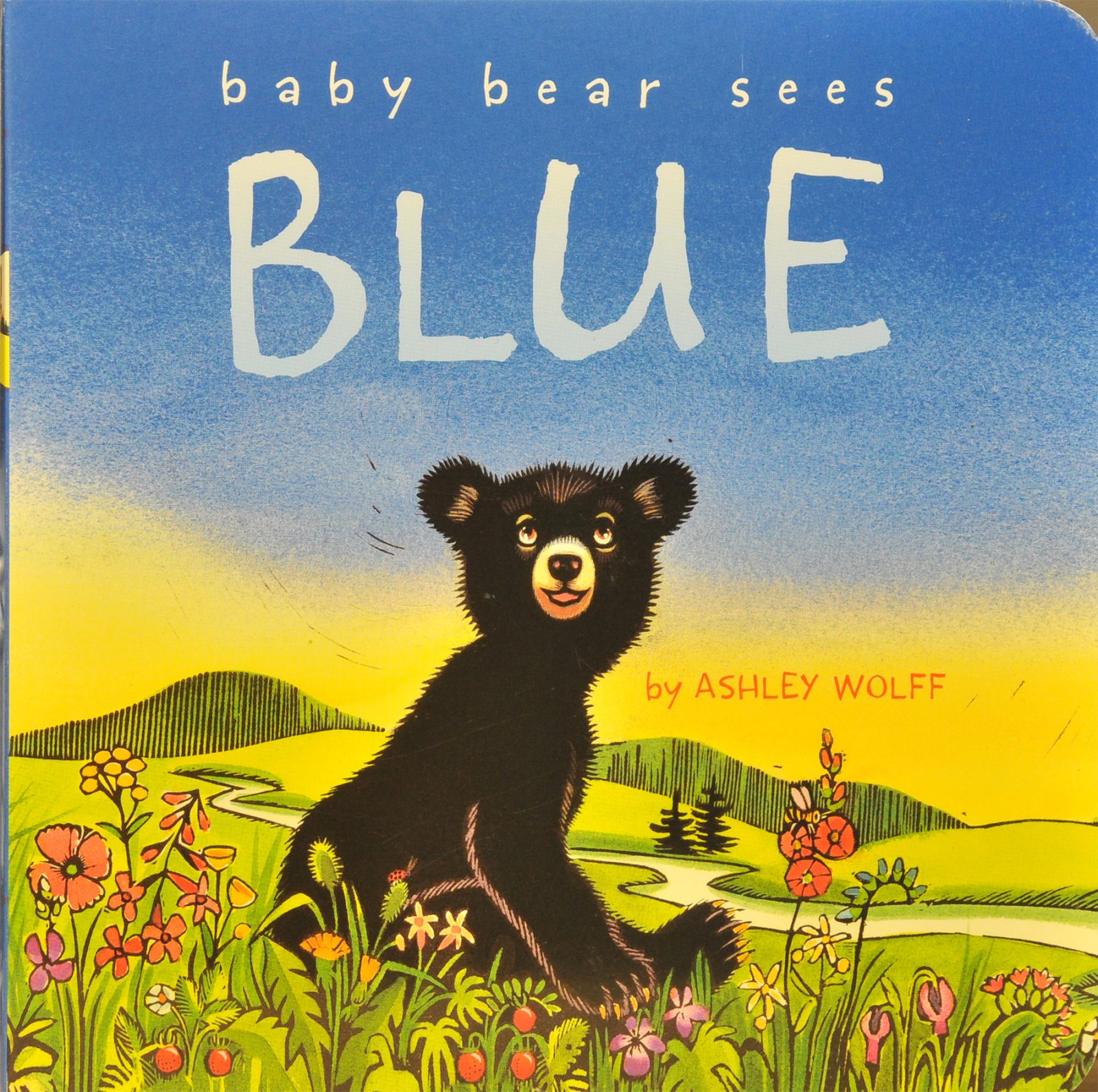 Baby Bear Sees Blue Board Book