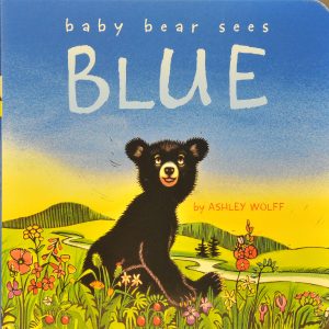 Baby Bear Sees Blue Board Book