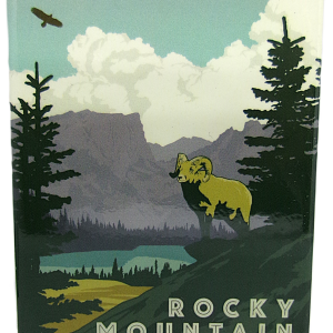 Magnet - RMNP Bighorn Sheep