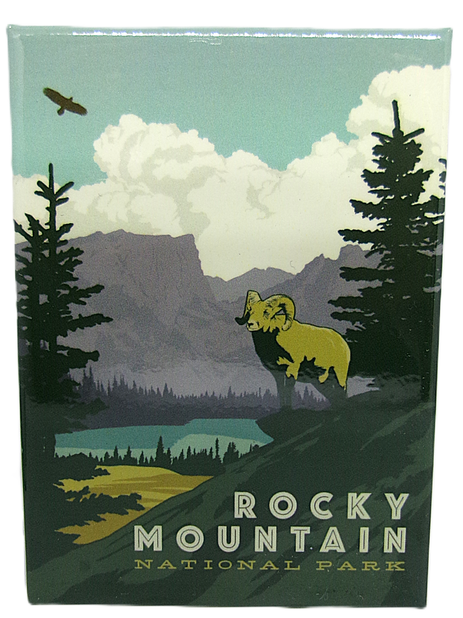 Magnet - RMNP Bighorn Sheep