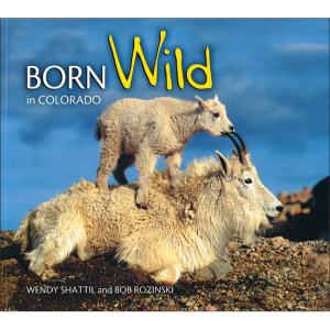 Born Wild in Colorado