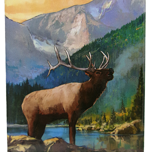 Magnet - RMNP Bull Elk