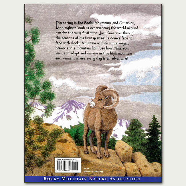 Cimarron the Bighorn Sheep - Image 2