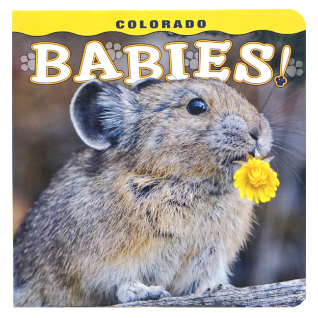 Colorado Babies