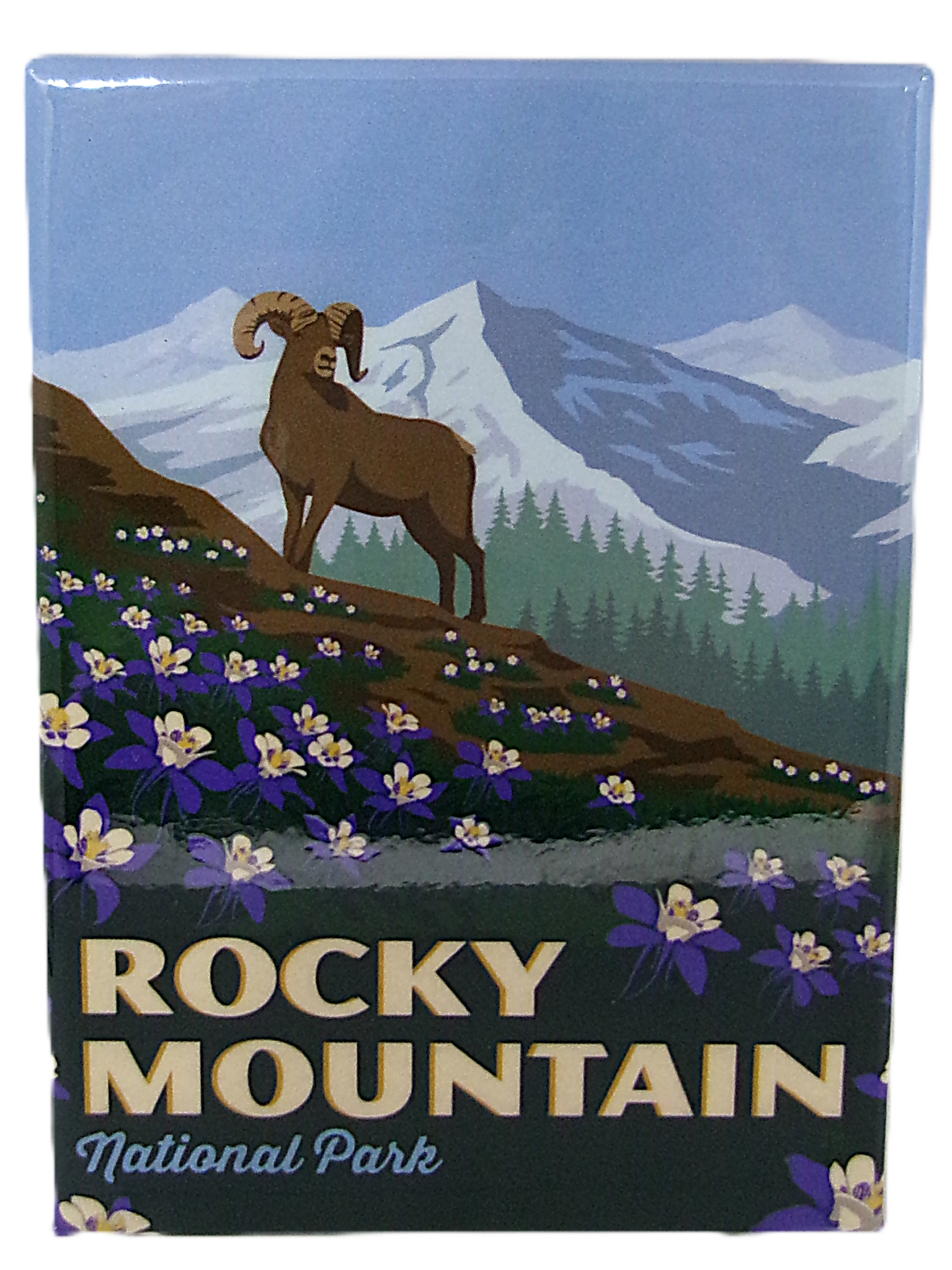 Magnet - RMNP Bighorn Columbine