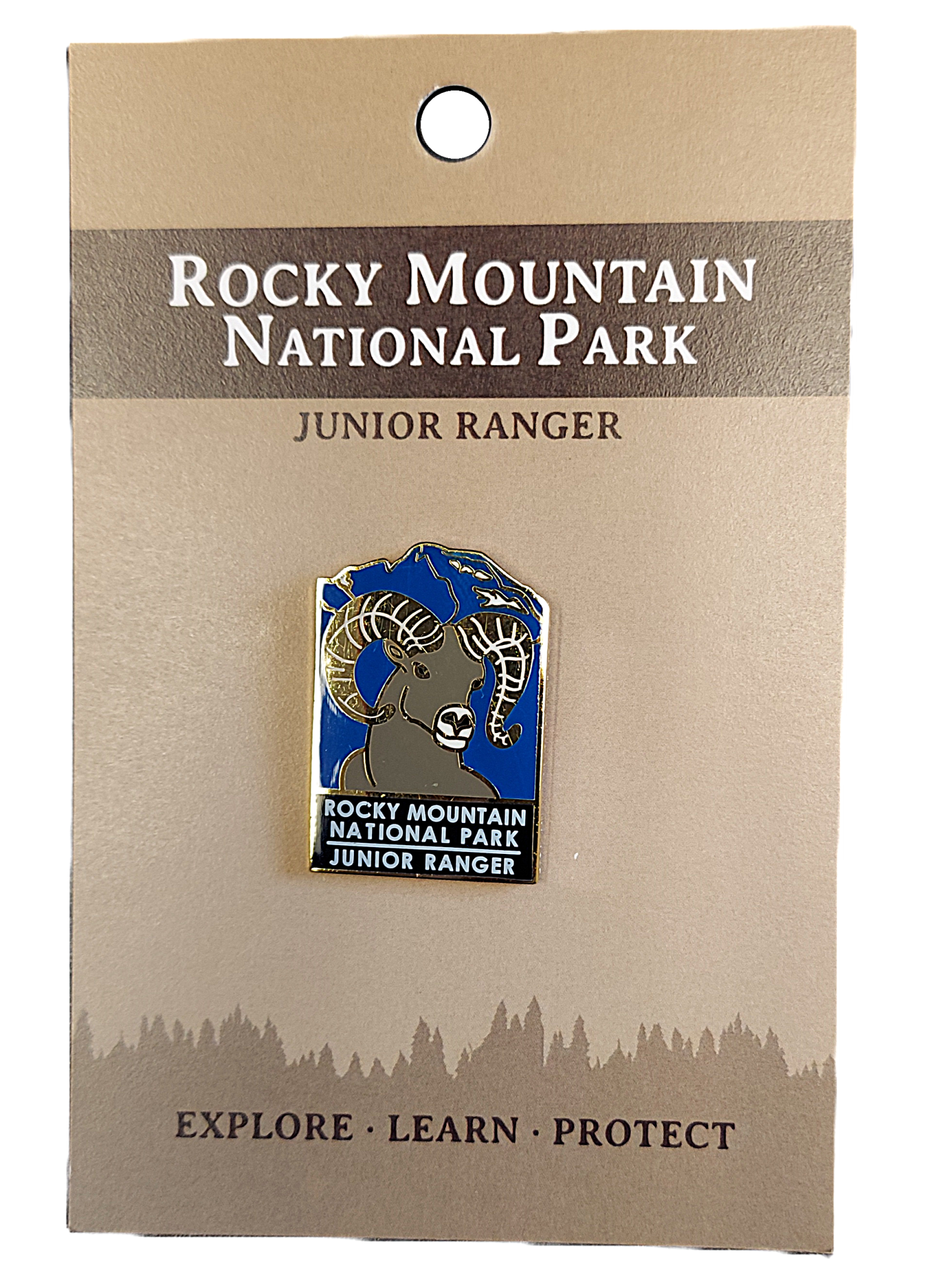 Pin - Junior Ranger