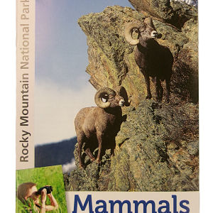 Mammals: Wild & Watchable Wildlife