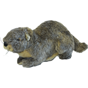 Plush - Marmot