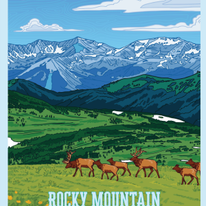 Poster - RMNP Elk Scene