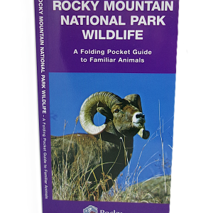 Rocky Mountain National Park Wildlife