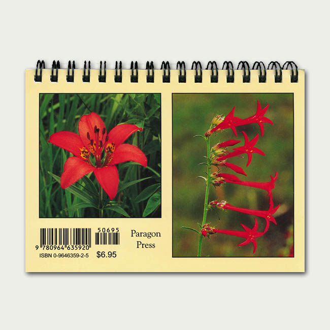 Rocky Mountain Wildflowers Pocket Guide - Image 2