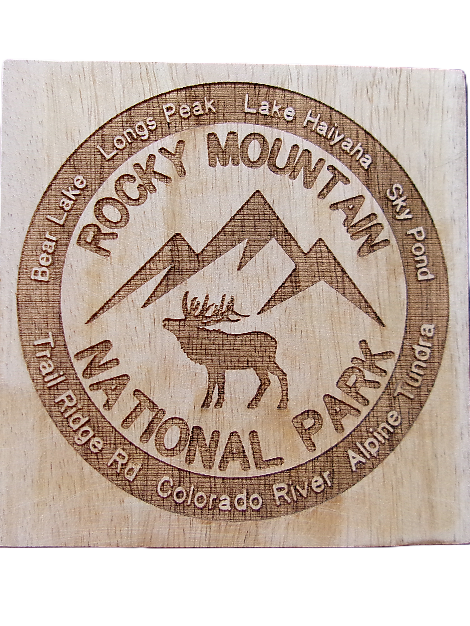 Coaster - RMNP Coaster Set of Four - Image 4