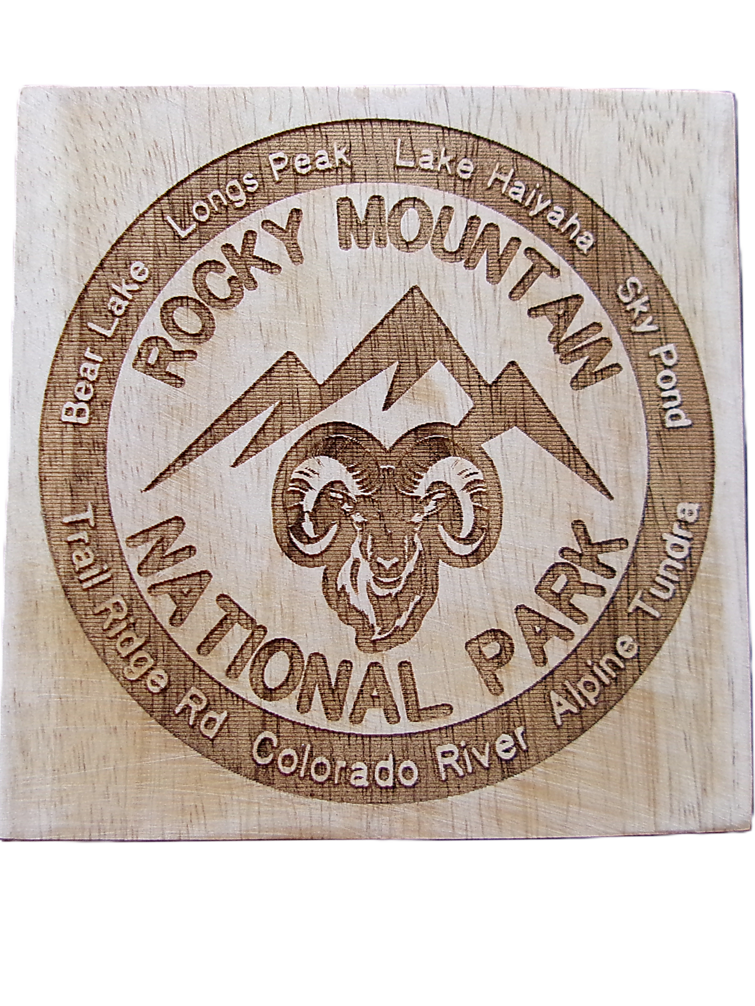 Coaster - RMNP Coaster Set of Four - Image 5