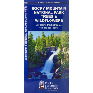 Rocky Mountain National Park Trees & Wildflowers