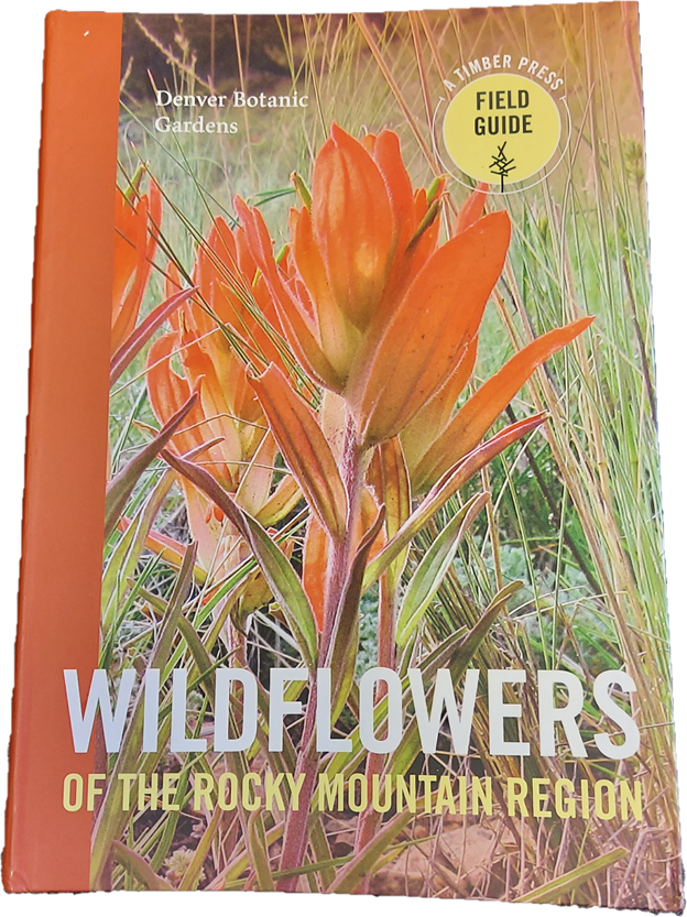 Wildflowers of the Rocky Mountain Region