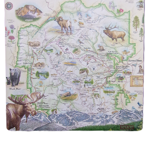 Coaster - RMNP Map Xplorer