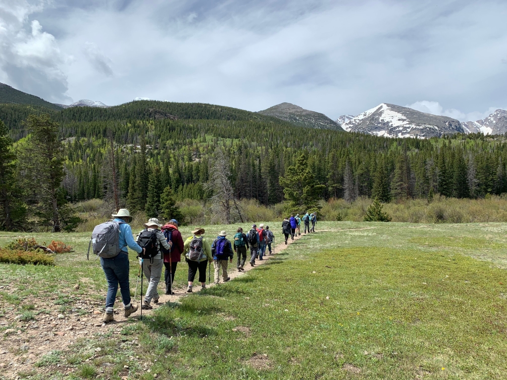 A Field Institute instructor and participants study alpine wildflowers outdoors.