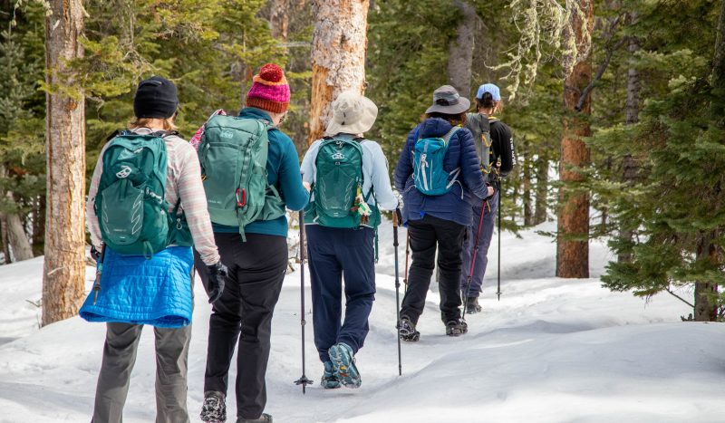 A group of participants snowshoes through a forest in Rocky Mountain National Park.